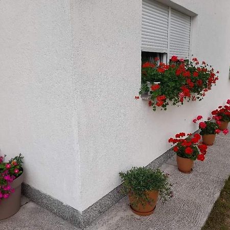 Rooms Danica Donji Babin Potok Екстер'єр фото