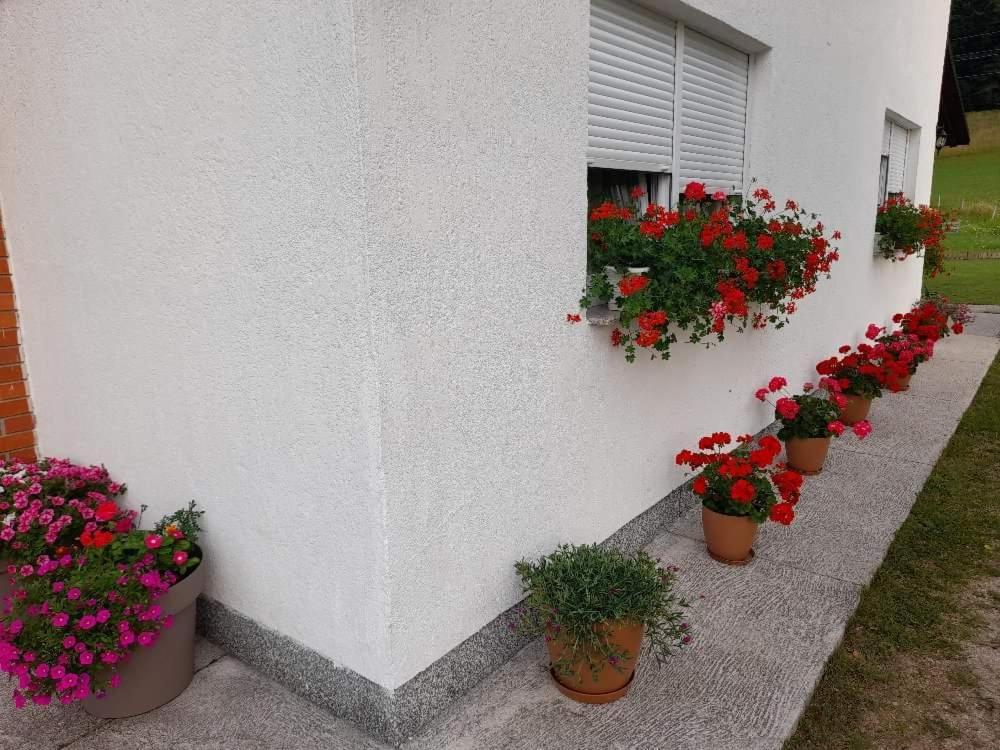 Rooms Danica Donji Babin Potok Екстер'єр фото