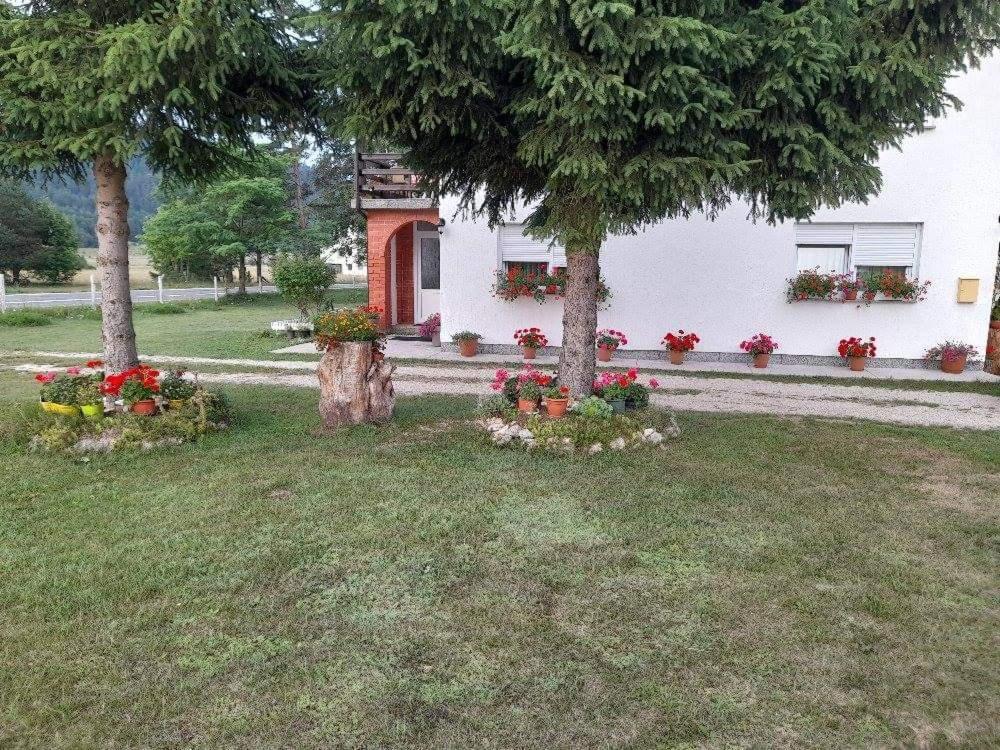 Rooms Danica Donji Babin Potok Екстер'єр фото