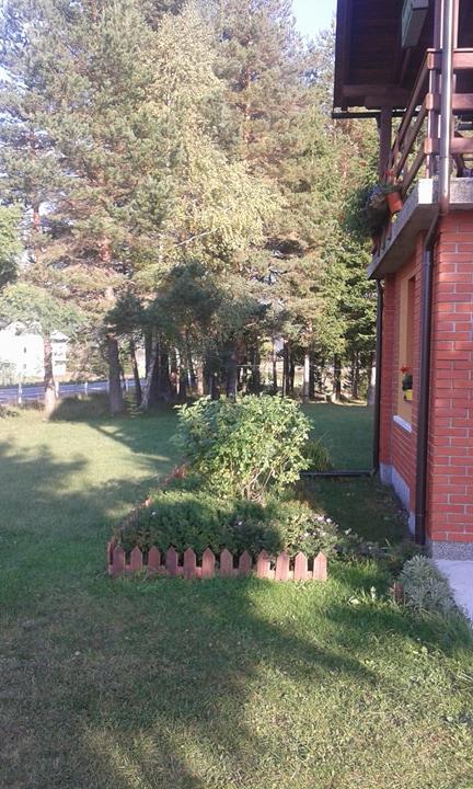 Rooms Danica Donji Babin Potok Екстер'єр фото